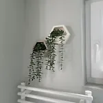 Apartment Tiny House Thulbasca Sarajevo