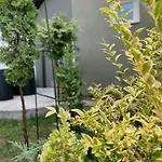Tiny House Thulbasca Apartment *