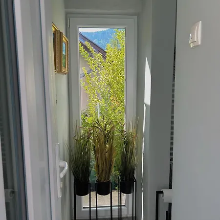 Apartman Tiny House Thulbasca *