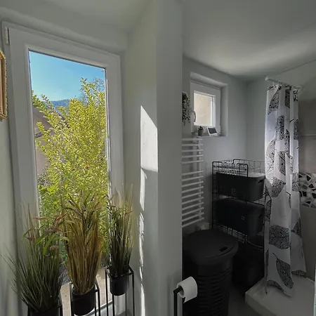 Apartman Tiny House Thulbasca *
