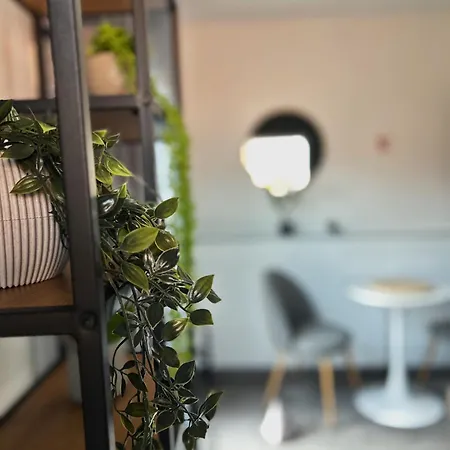 Tiny House Thulbasca Sarajevo