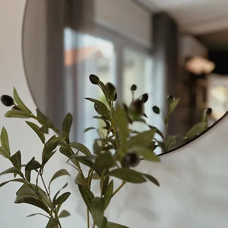 Tiny House Thulbasca Apartman *