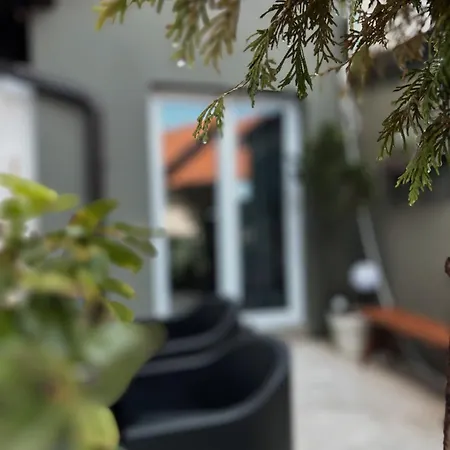 Apartman Tiny House Thulbasca *