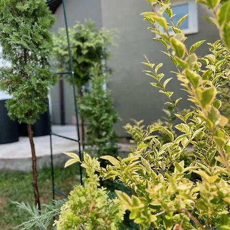 Tiny House Thulbasca Apartman *