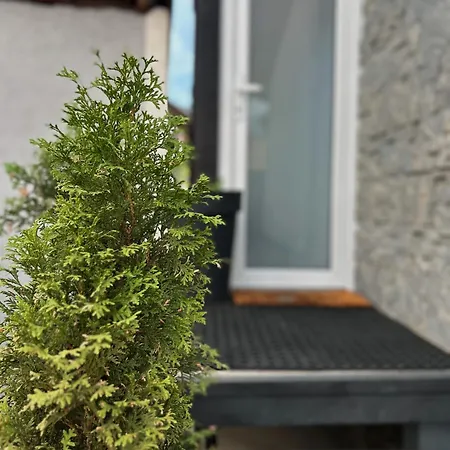 Tiny House Thulbasca Apartman