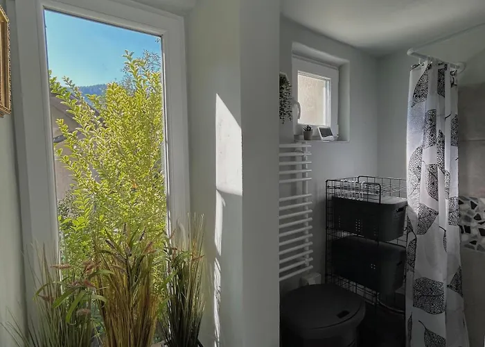 Apartman Tiny House Thulbasca *